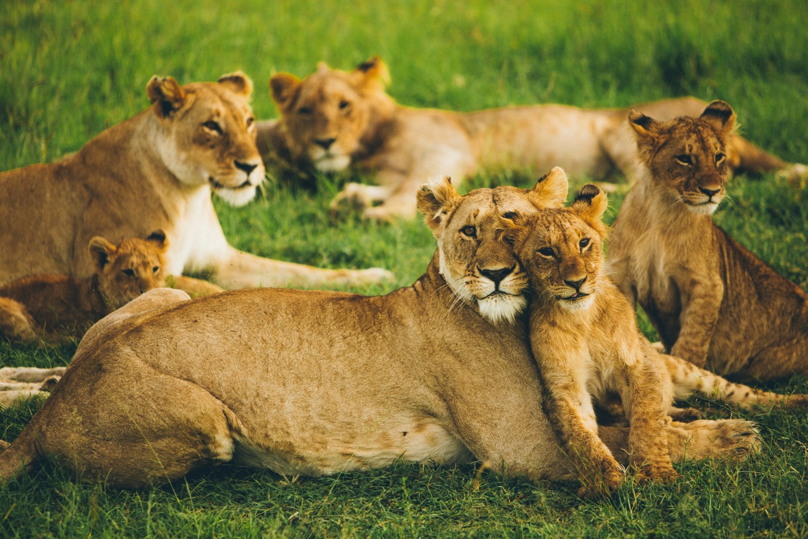  Photo Credit: Photo by Leonard von Bibra on Unsplash