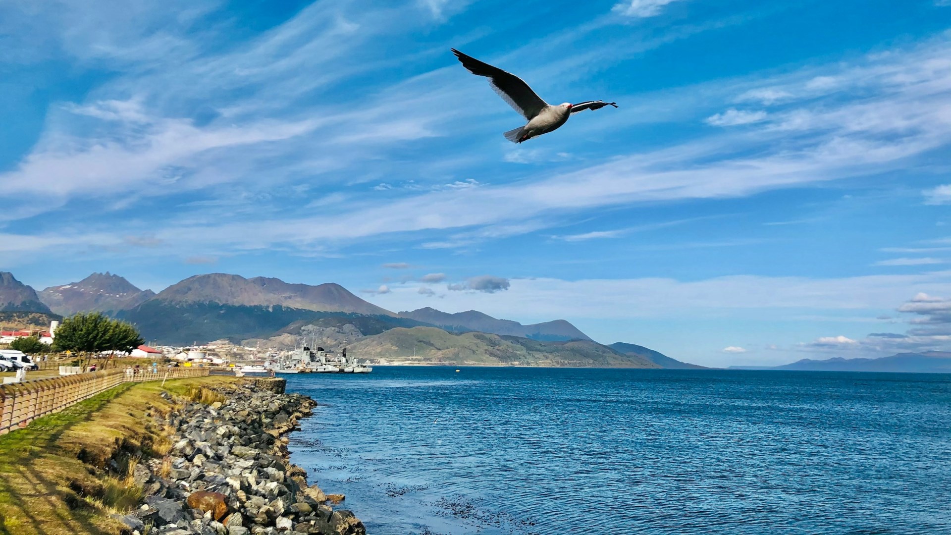  Photo Credit: Photo by Juan Pablo Mascanfroni on Unsplash