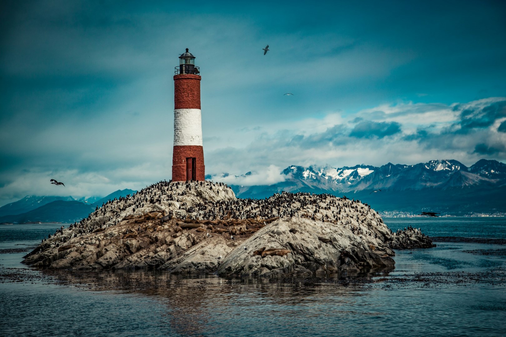  Photo Credit: Photo by Luuk Wouters on Unsplash