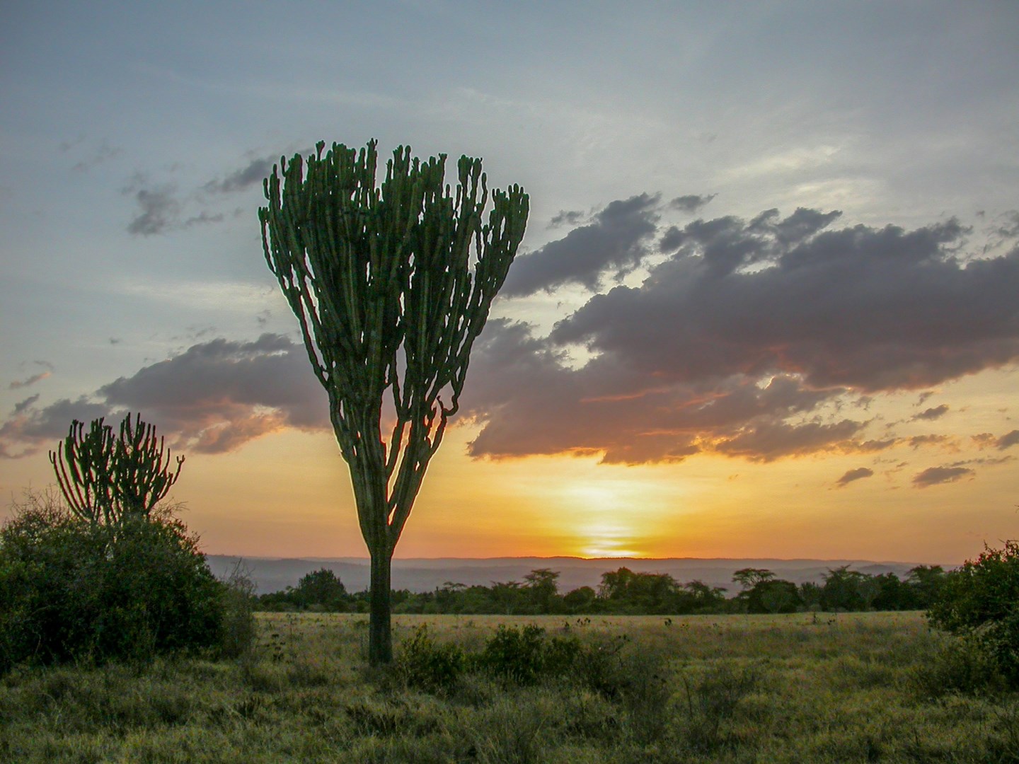  Photo Credit: Photo by Wietse Jongsma on Unsplash