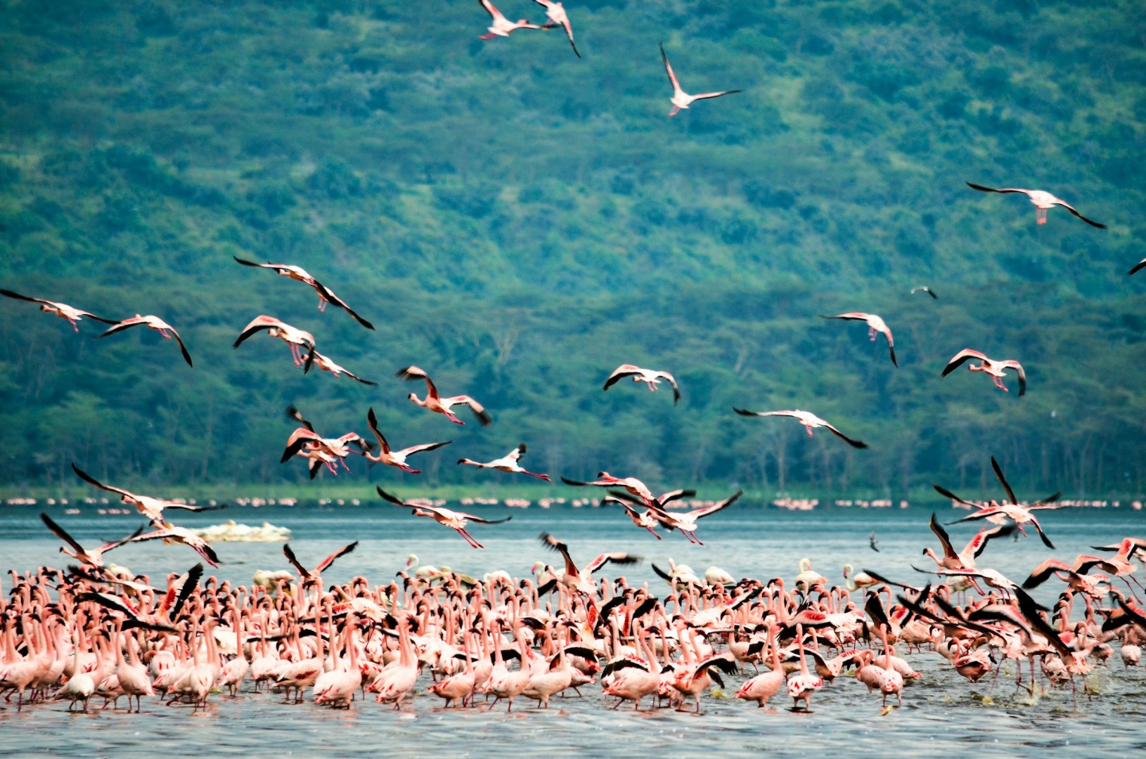  Photo Credit: Photo by Bibhash (Polygon.Cafe) Banerjee on Unsplash