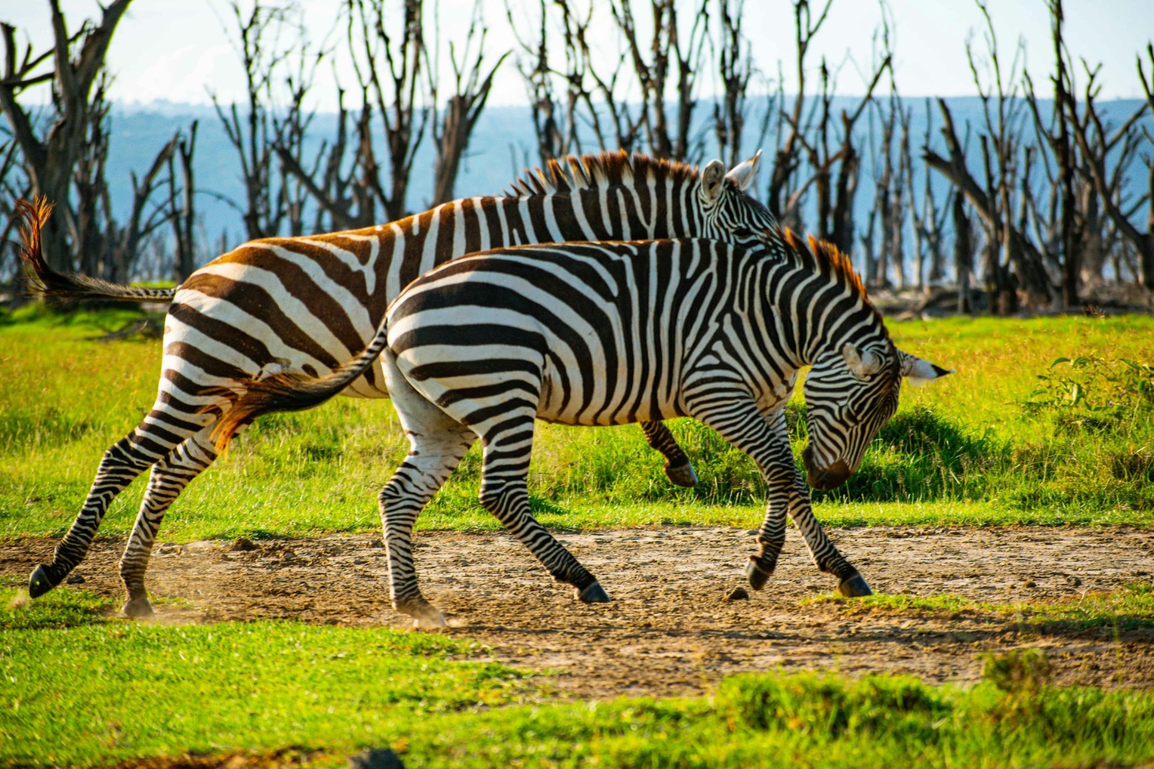  Photo Credit: Photo by Brian Kungu on Unsplash
