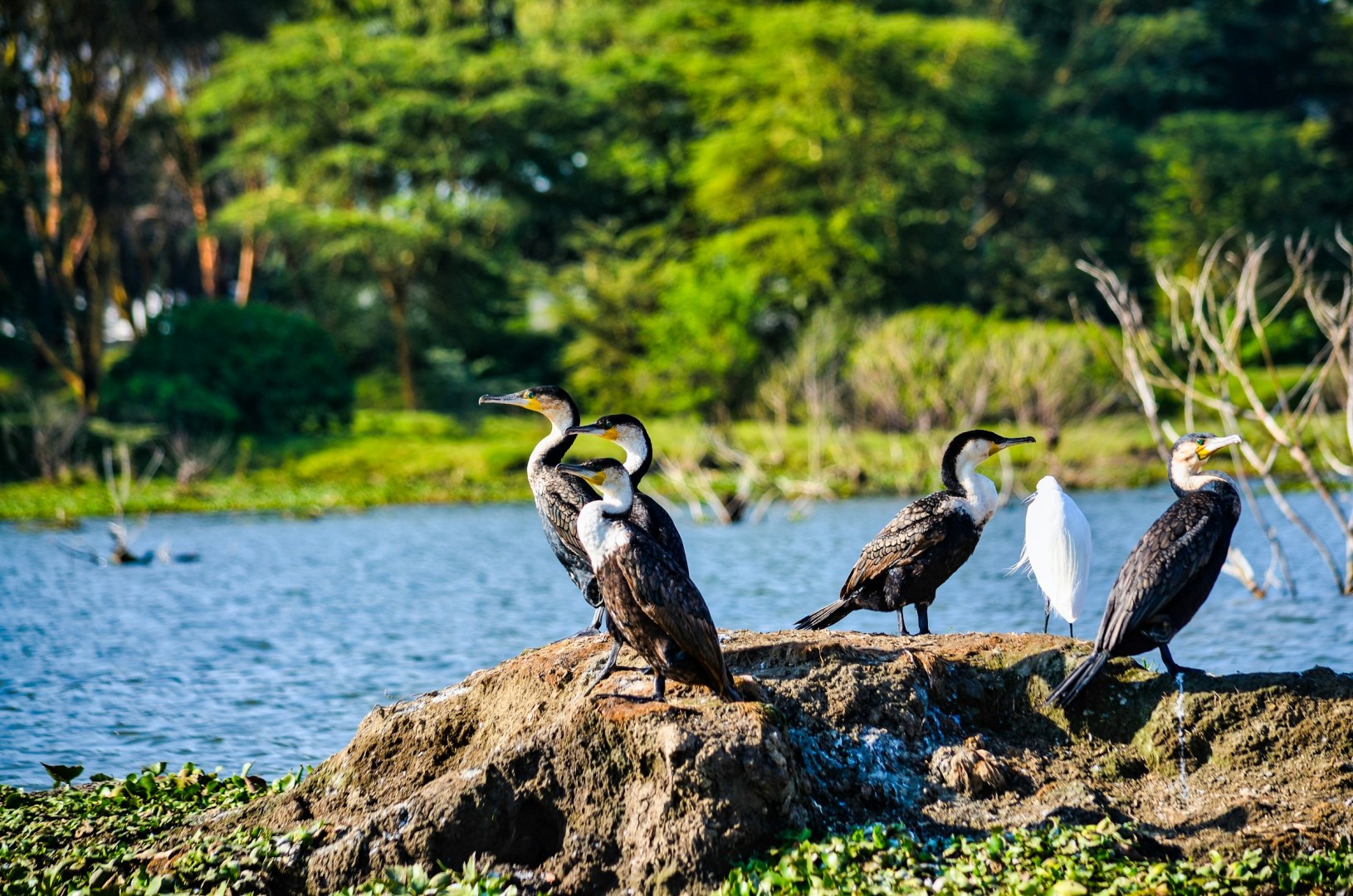  Photo Credit: Photo by Bibhash (Polygon.Cafe) Banerjee on Unsplash