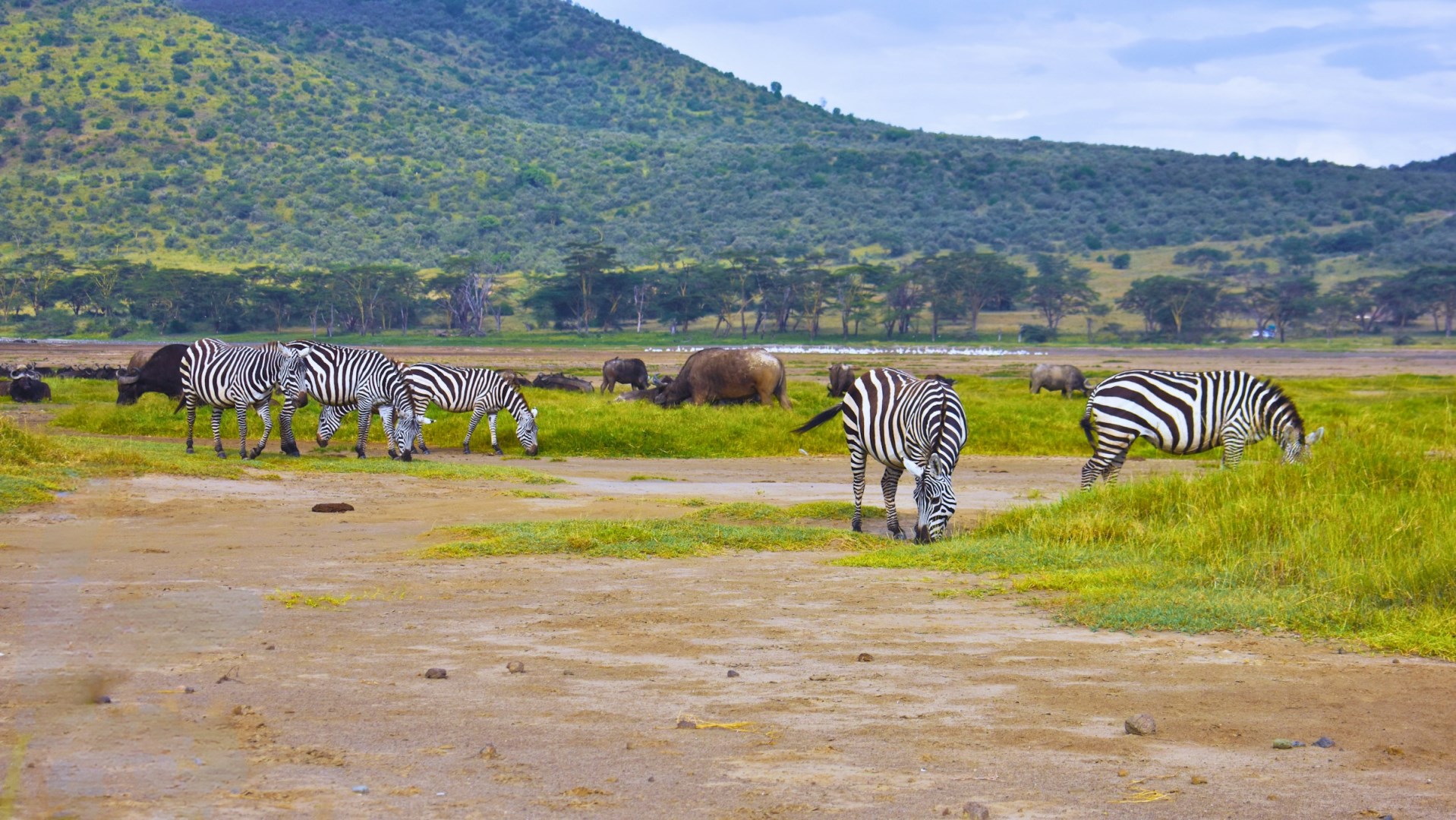  Photo Credit: Photo by Moses Sichach on Unsplash