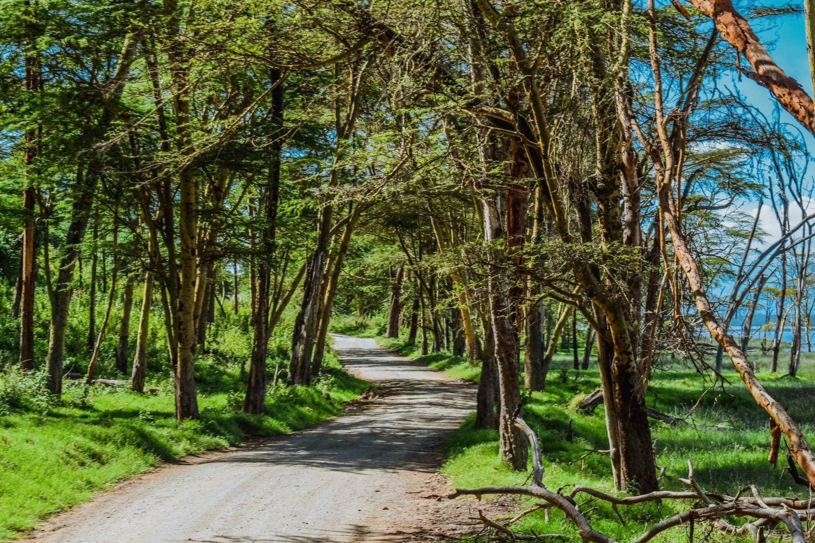  Photo Credit: Photo by muthengi mbuvi on Unsplash