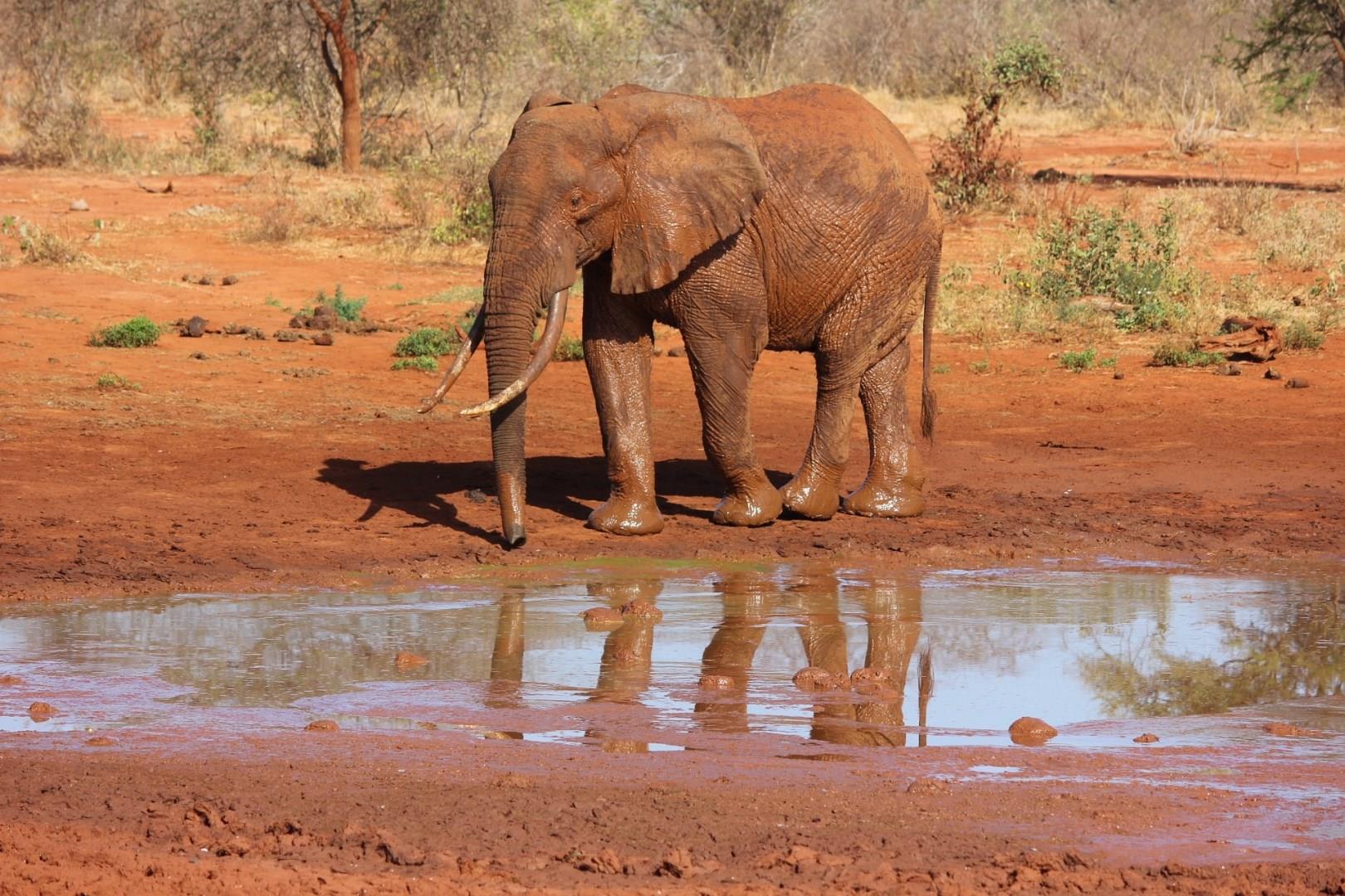 Photo Credit: kikatani