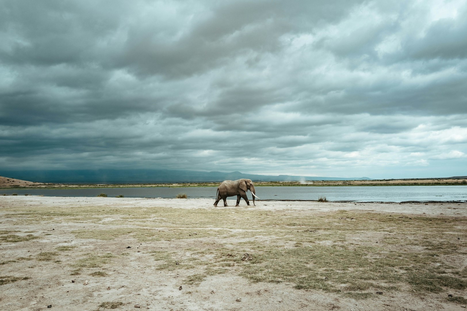  Photo Credit: Photo by Eduard Delputte on Unsplash
