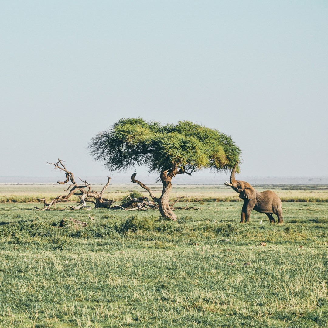  Photo Credit: Photo by Harshil Gudka on Unsplash