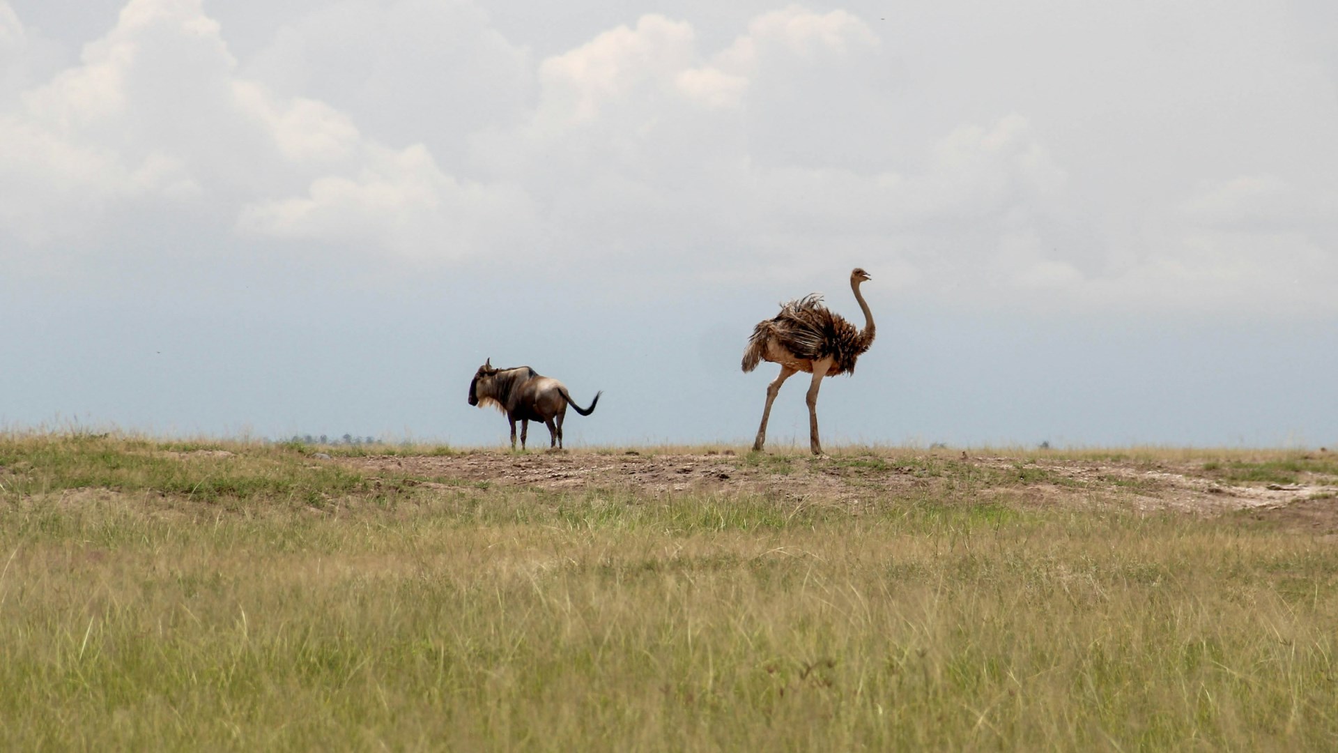  Photo Credit: Photo by Sweder Breet on Unsplash