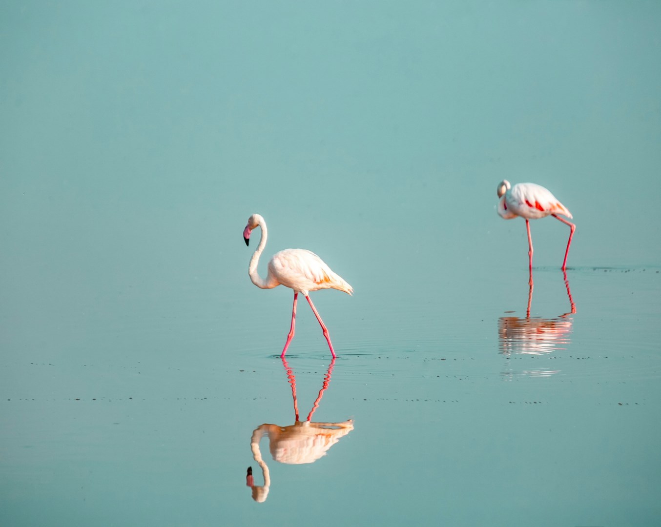  Photo Credit: Photo by Jake Nackos on Unsplash