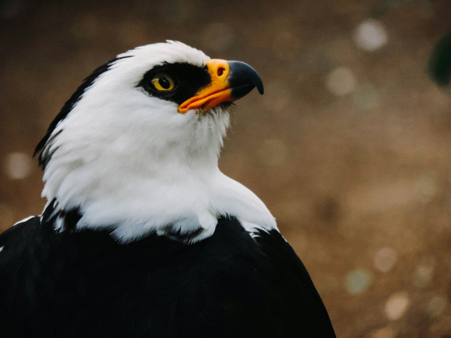  Photo Credit: Photo by Nanette Mudry on Unsplash