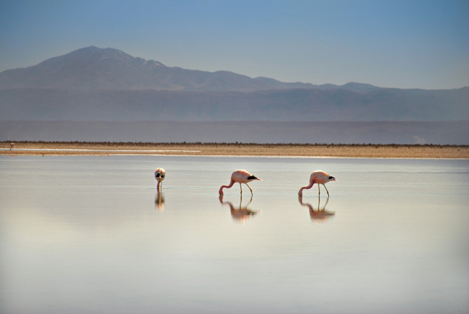  Photo Credit: Photo by Alex Wolowiecki on Unsplash