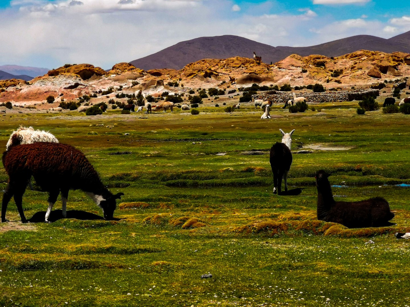  Photo Credit: Photo by Florian Delée on Unsplash