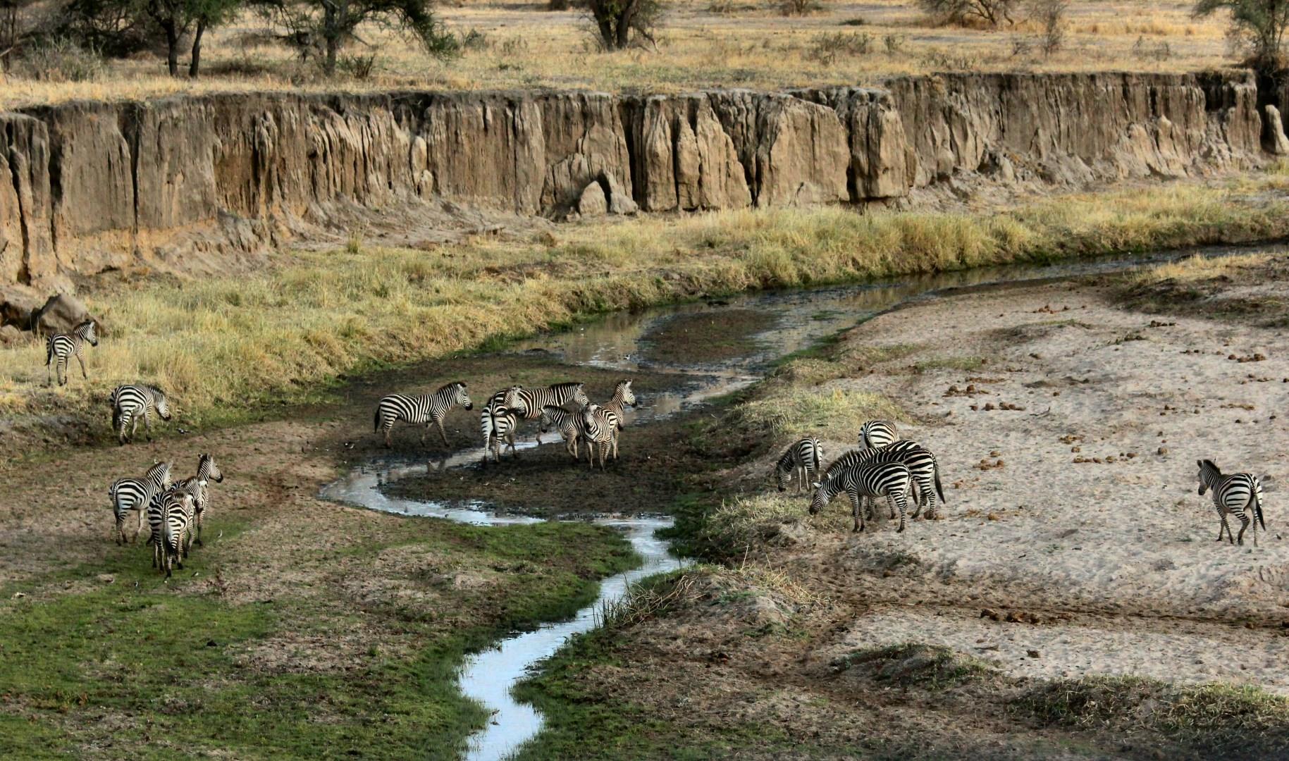 Tarangire National Park