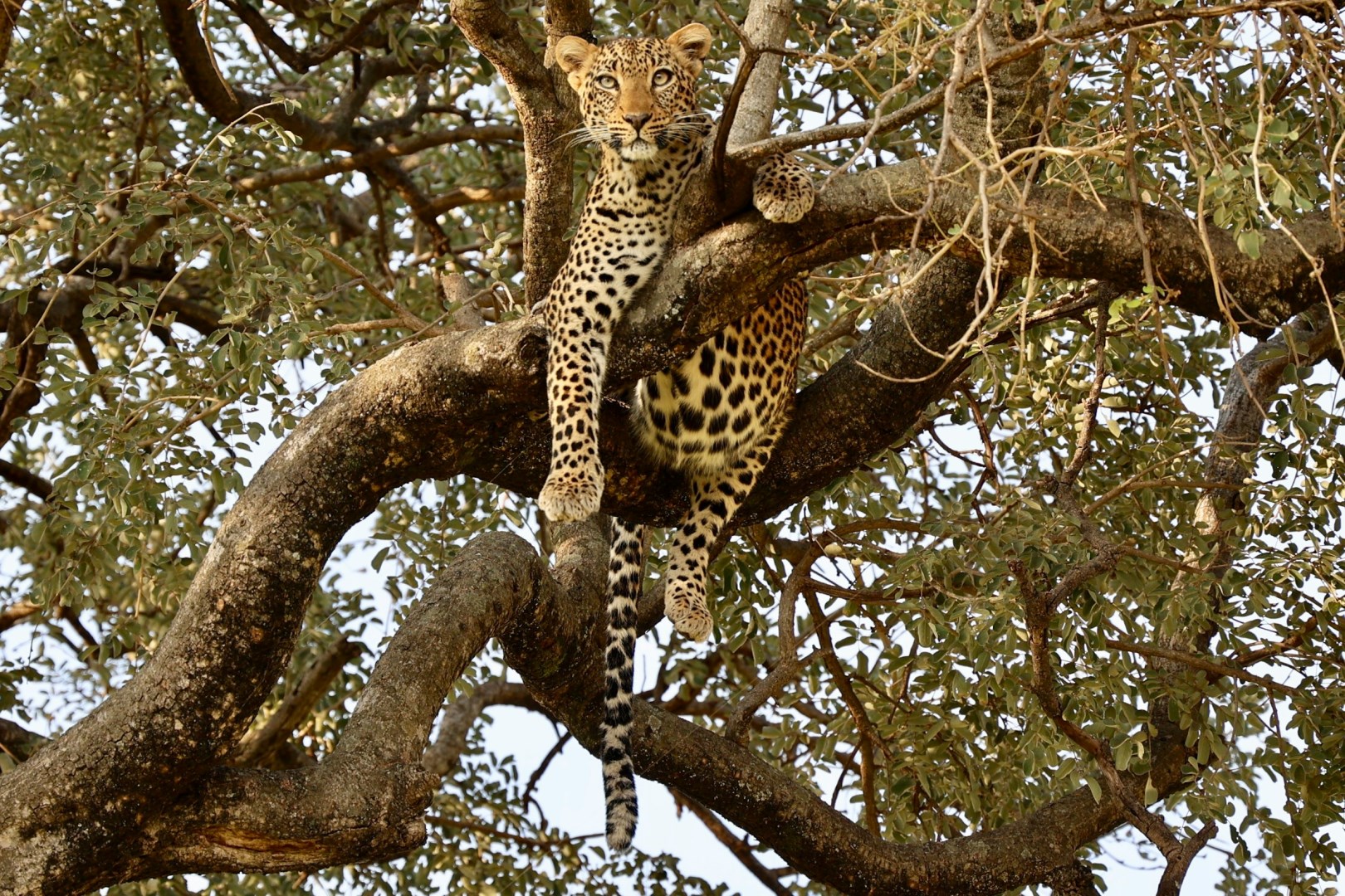  Photo Credit: Photo by Uzuri Safaris Tanzania on Unsplash