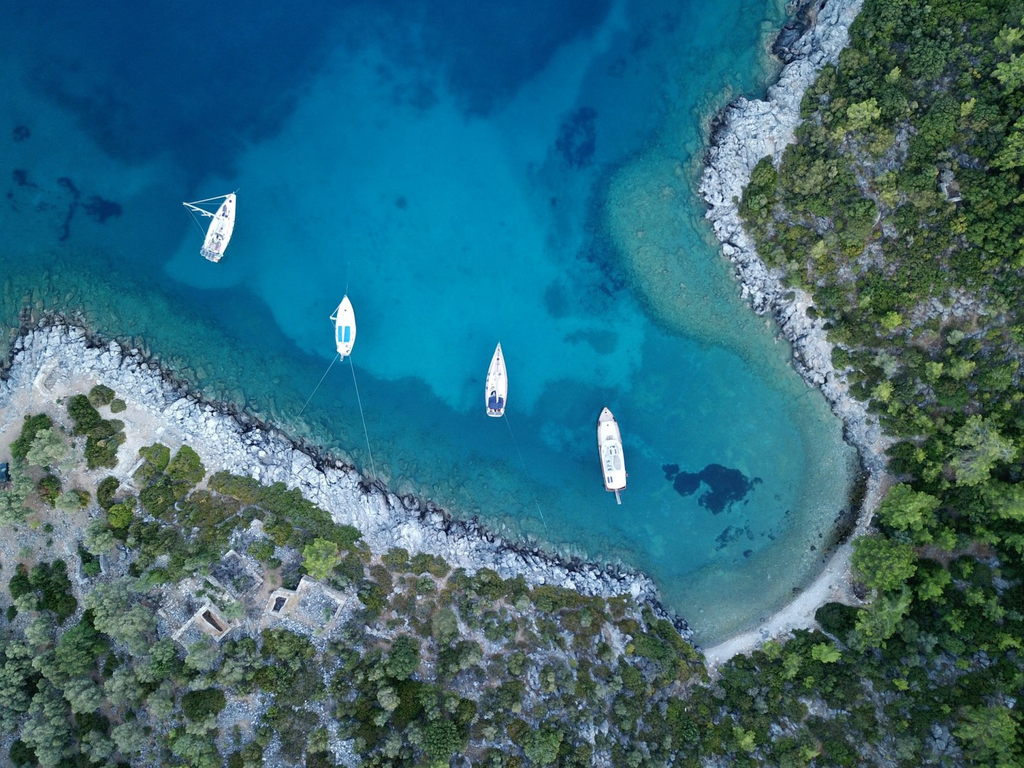  Photo Credit: Photo by Kaan Kosemen on Unsplash