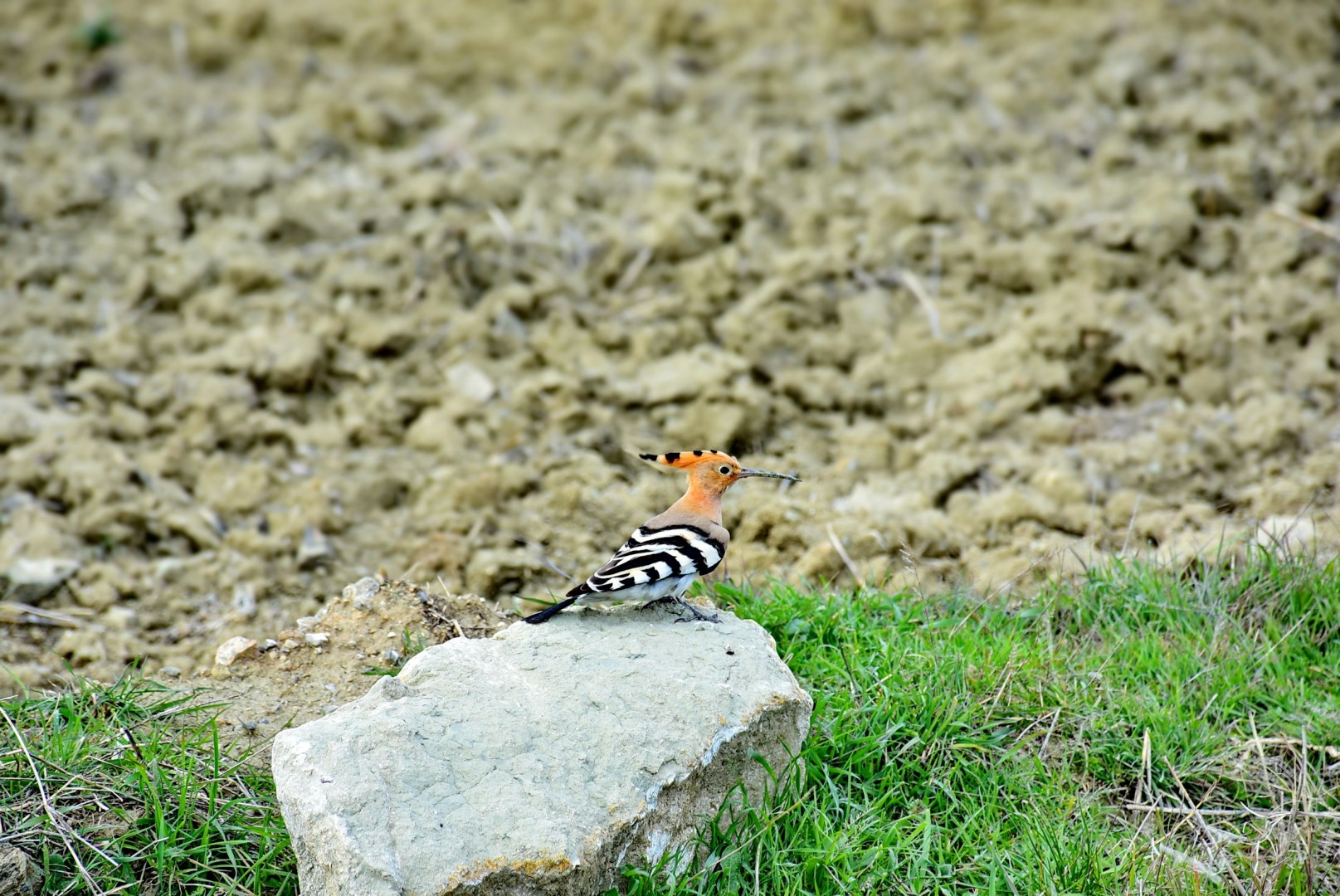  Photo Credit: Photo by rusyena on Unsplash