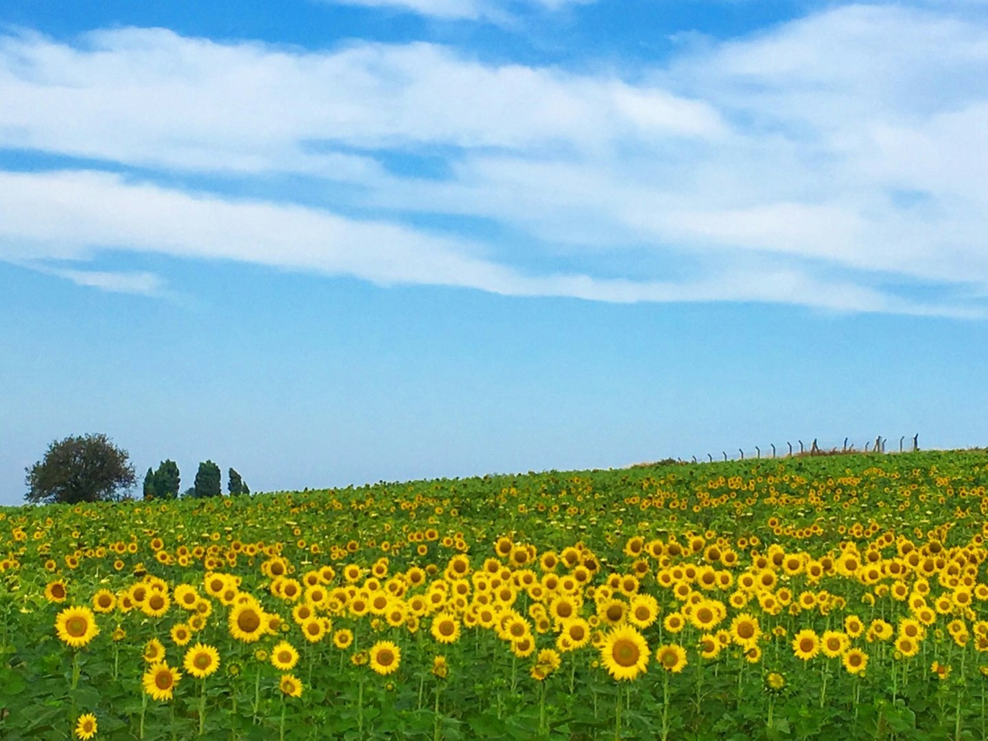  Photo Credit: Photo by Hande B. on Unsplash