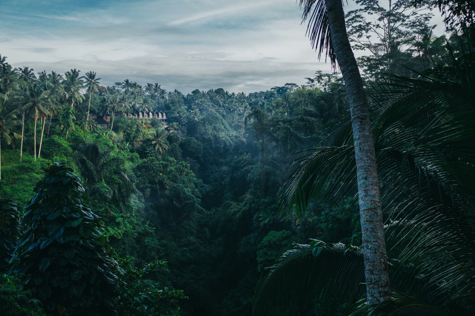  Photo Credit: Photo by Geio Tischler on Unsplash