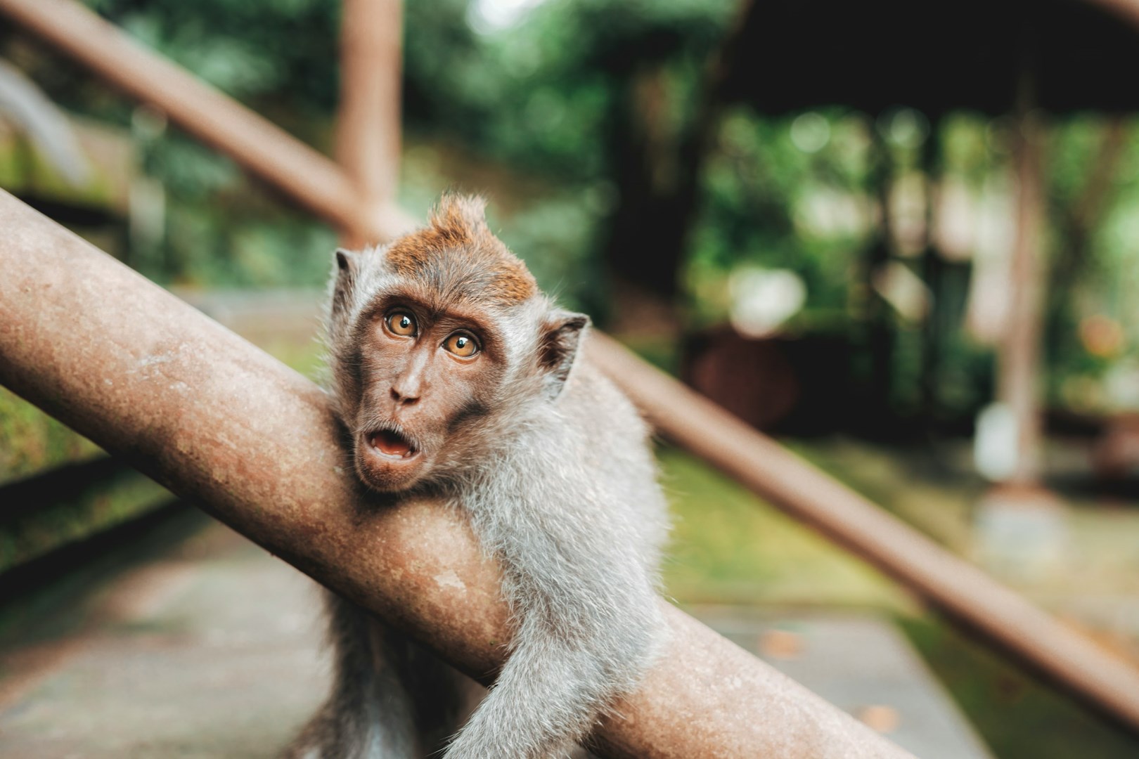  Photo Credit: Photo by Jared Rice on Unsplash