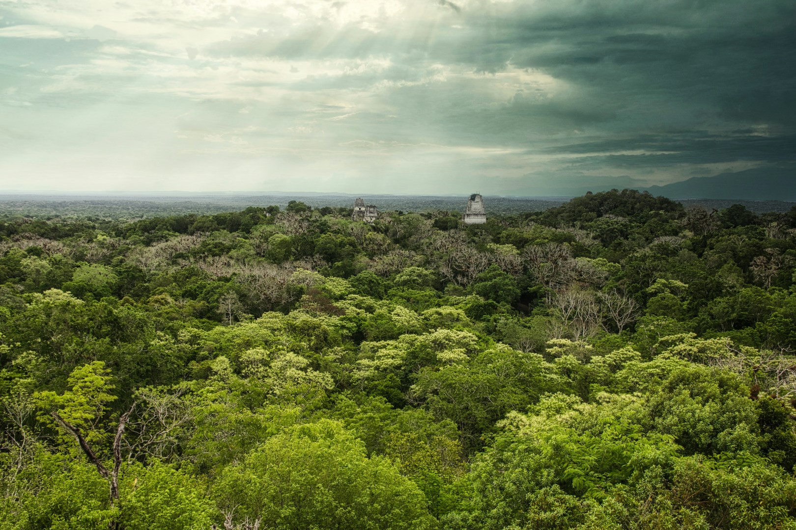  Photo Credit: Photo by Isaac Quesada on Unsplash