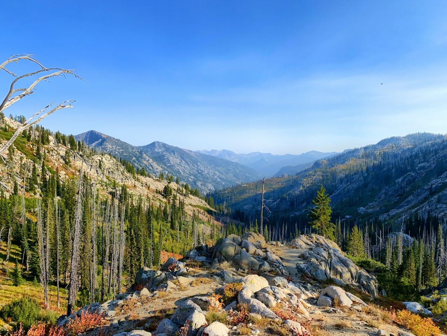  Photo Credit: Photo by Porter Raab on Unsplash