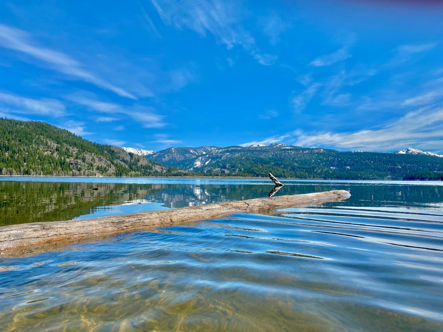 Little Payette Lake - Photo Credit: Photo by LeeAnn Cline on Unsplash