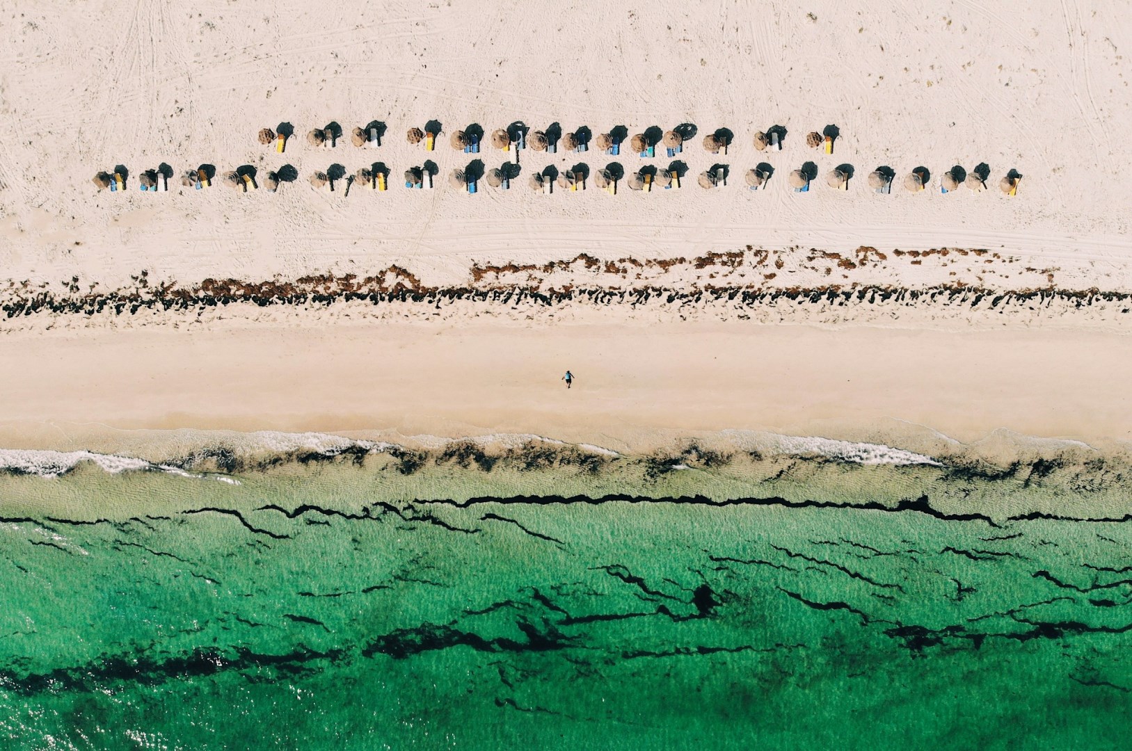  Photo Credit: Photo by Khalil Yamoun on Unsplash