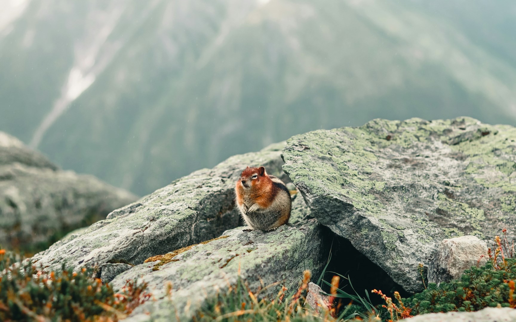  Photo Credit: Photo by Ali Kazal on Unsplash