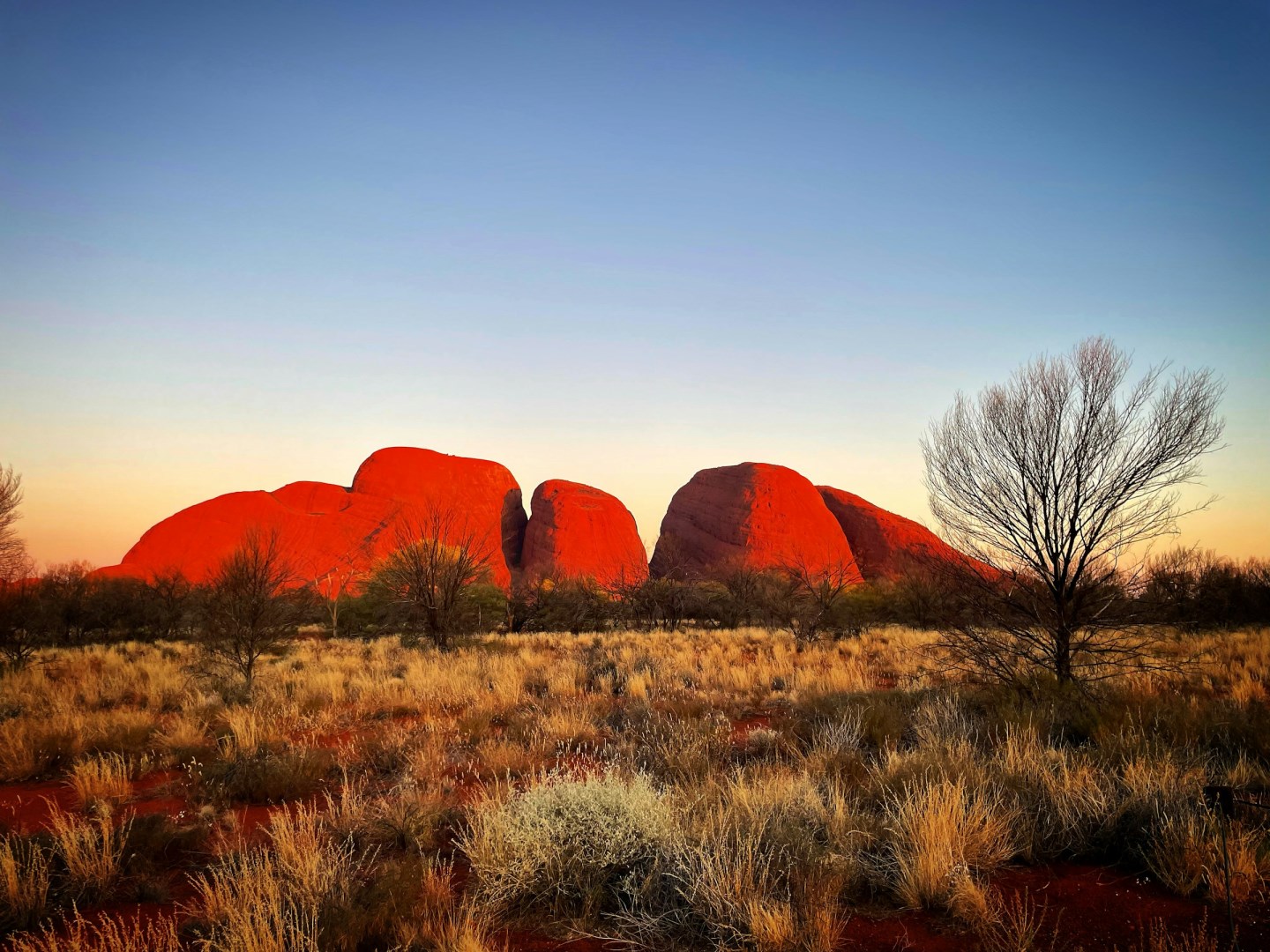 Kata Tjuta