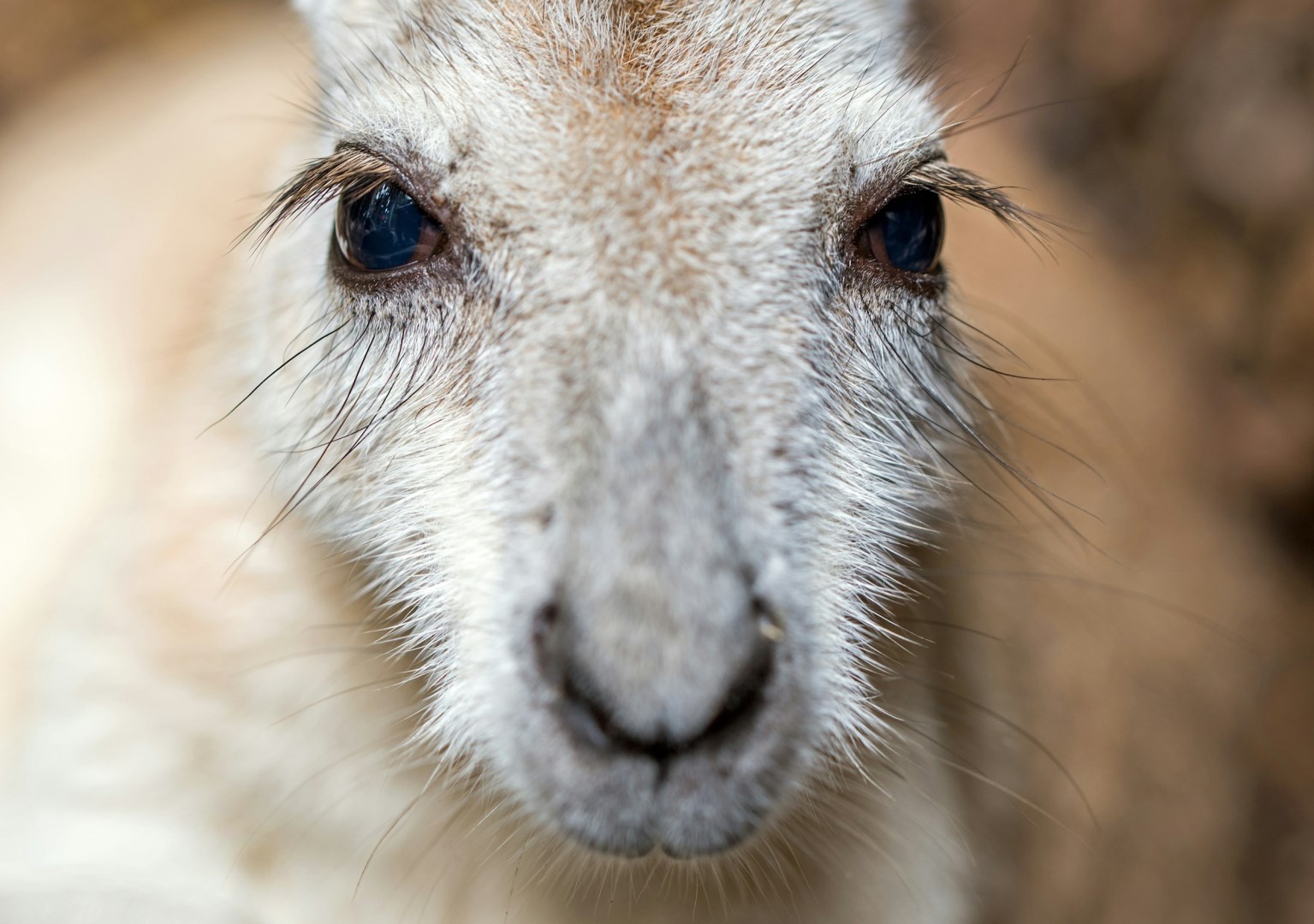  Photo Credit: Photo by David Clode on Unsplash