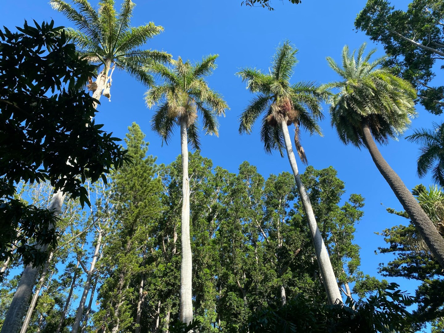 Rockhampton