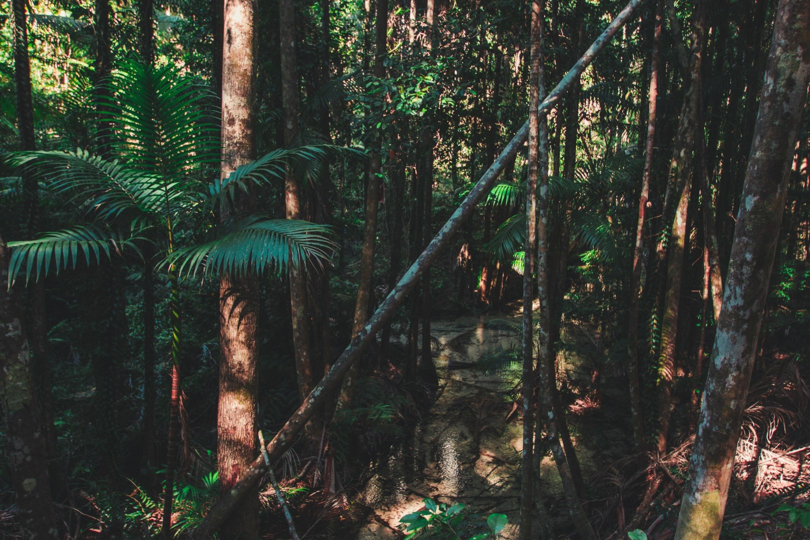  Photo Credit: Photo by Resi Kling on Unsplash