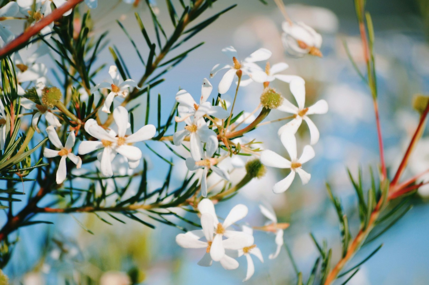  Photo Credit: Photo by Nick Sarvari on Unsplash