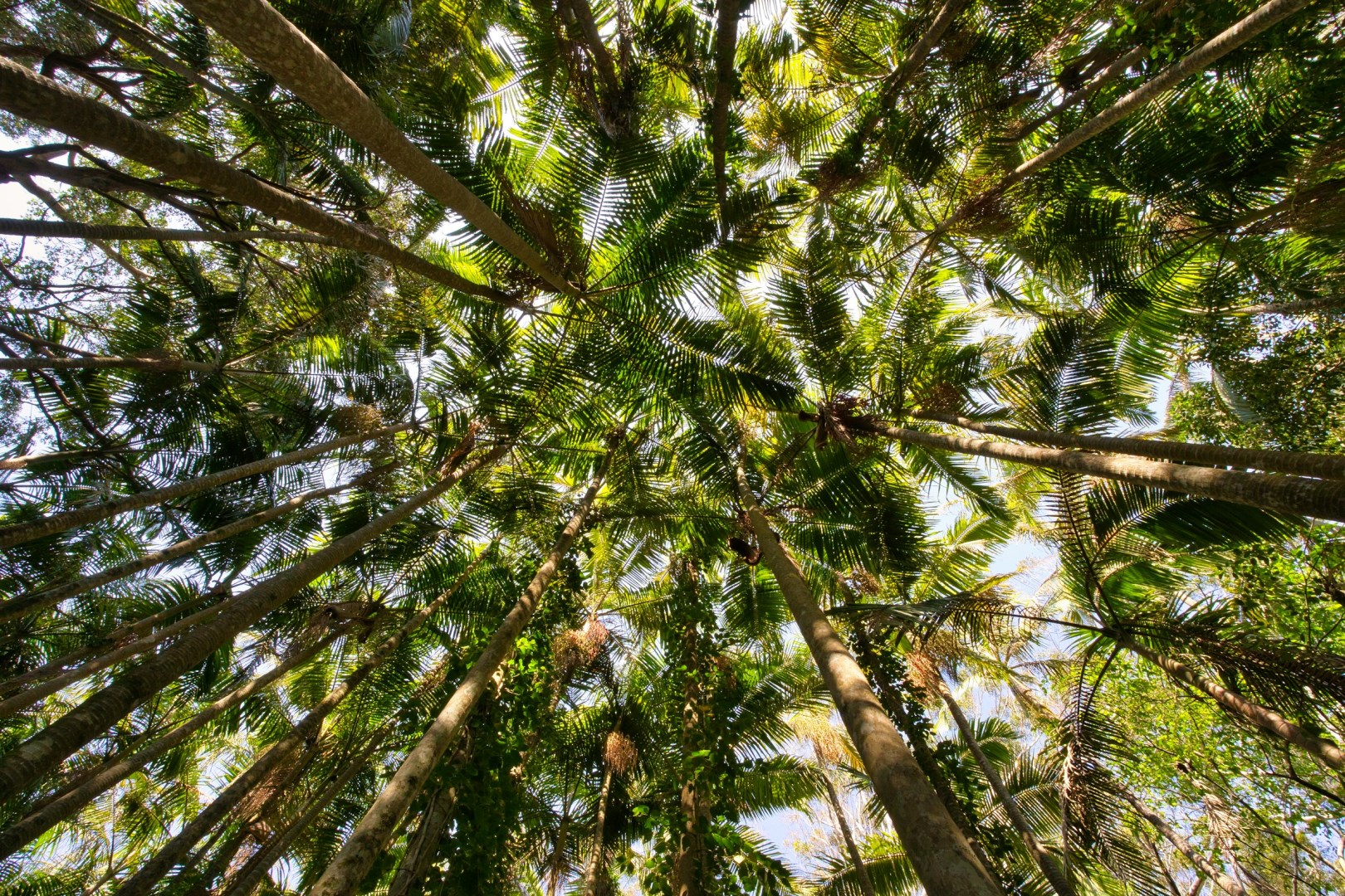  Photo Credit: Photo by peter porter on Unsplash