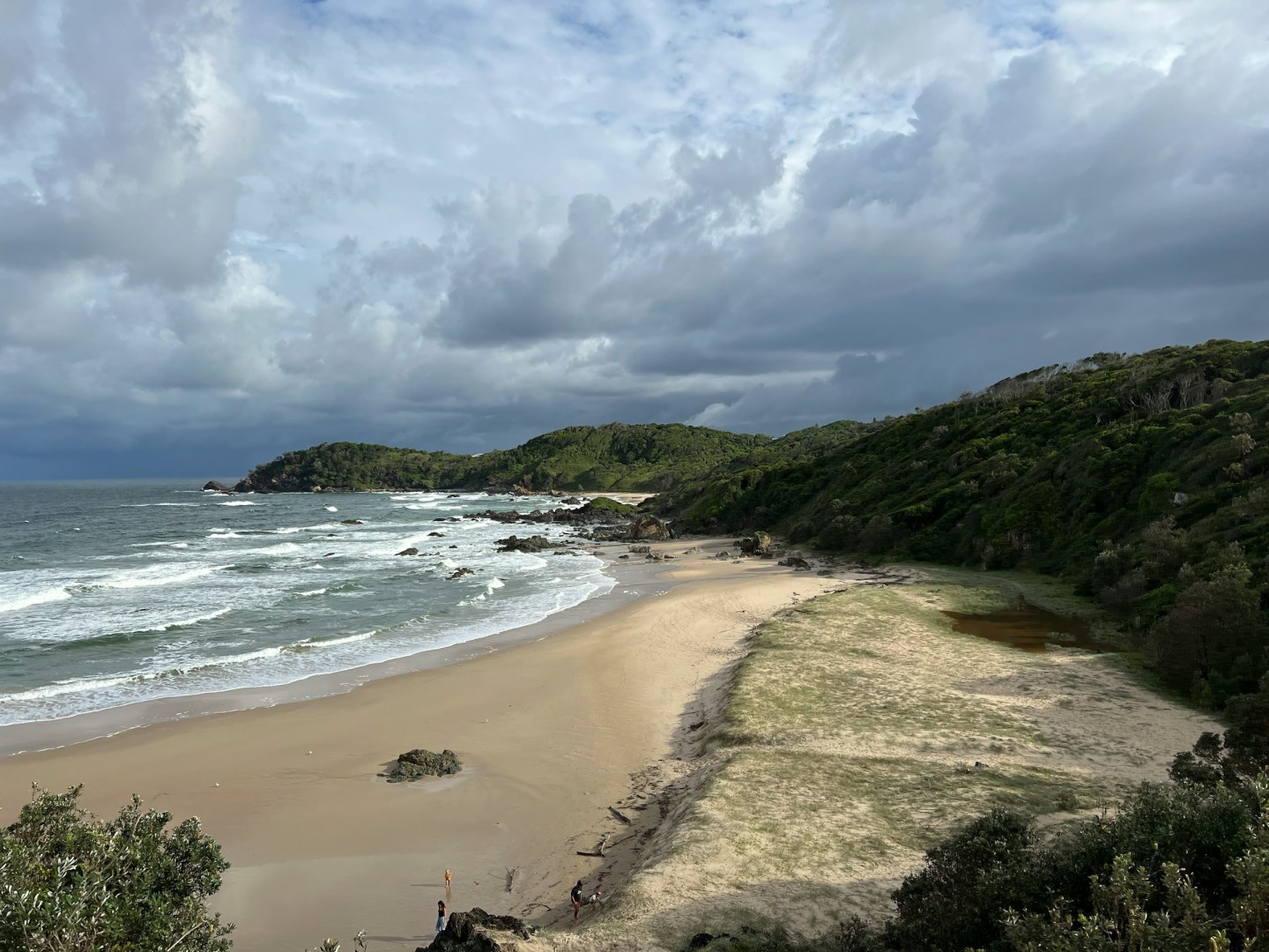 Sea Acres National Park - Photo Credit: Photo by James McTaggart on Unsplash