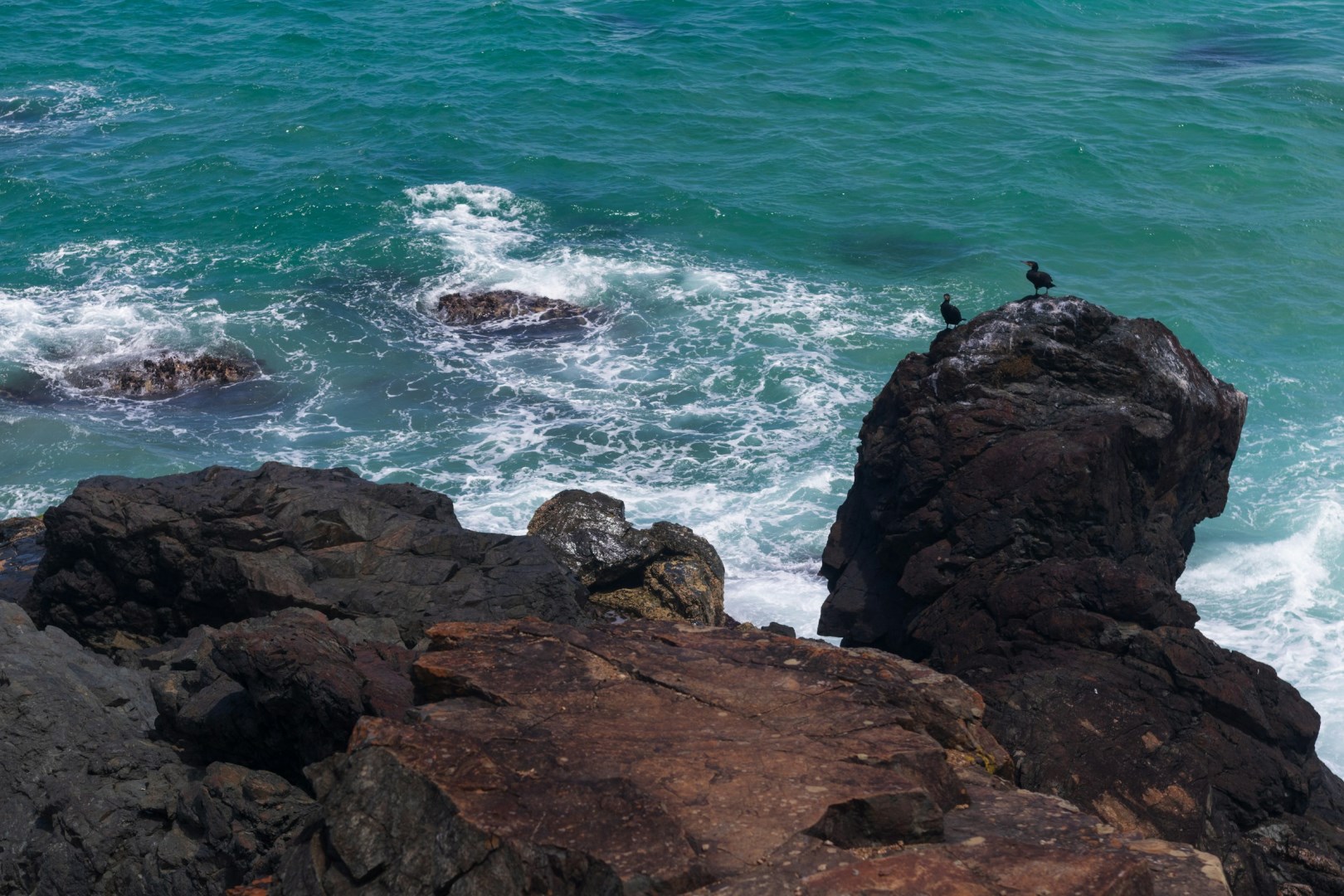  Photo Credit: Photo by Ethan Smeets on Unsplash