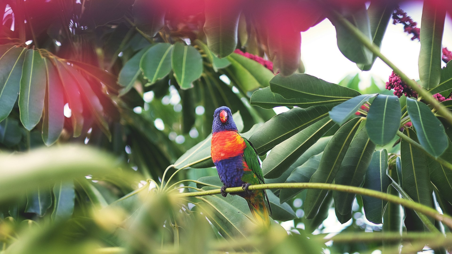  Photo Credit: Photo by Claude Piché on Unsplash