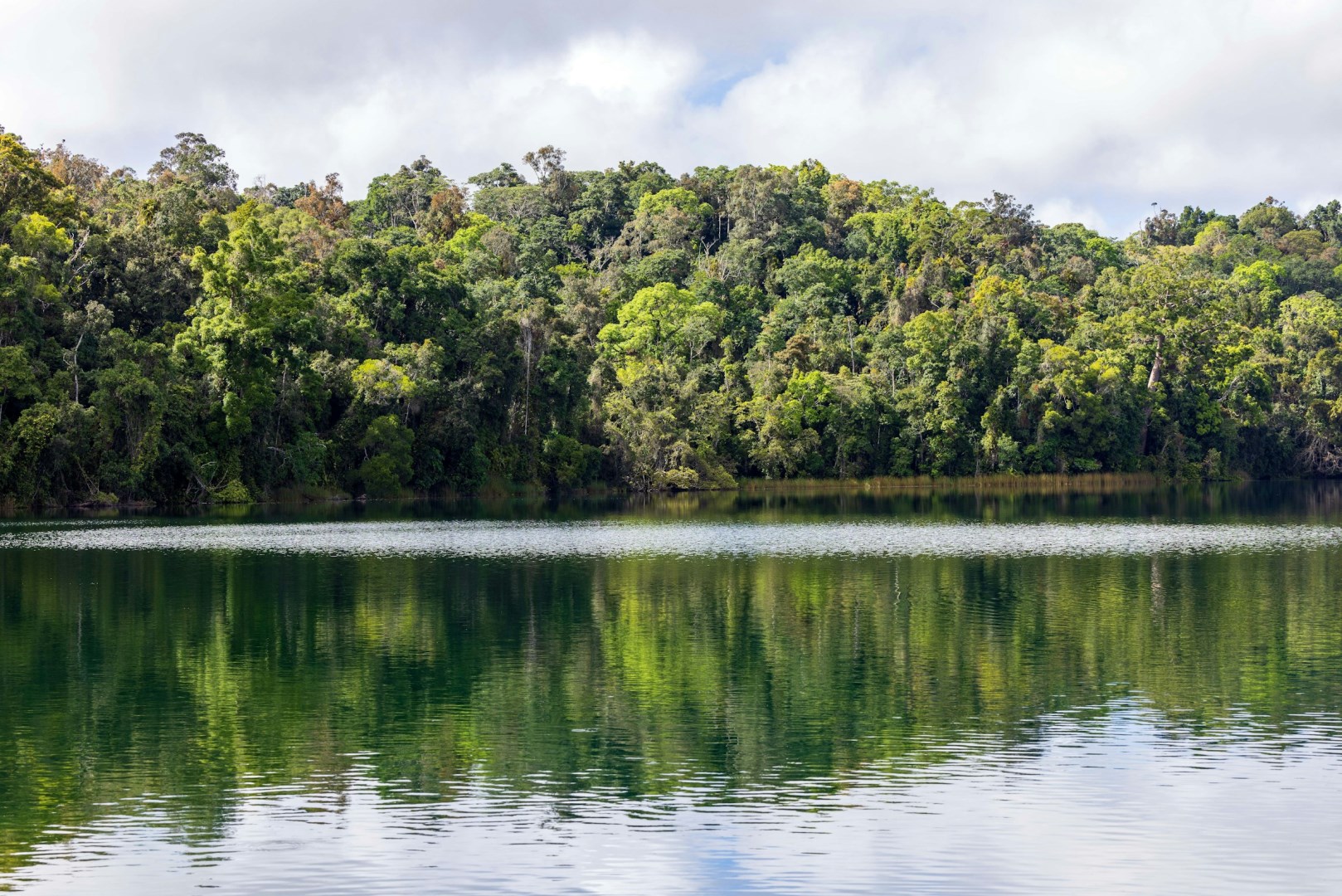  Photo Credit: Photo by David Clode on Unsplash