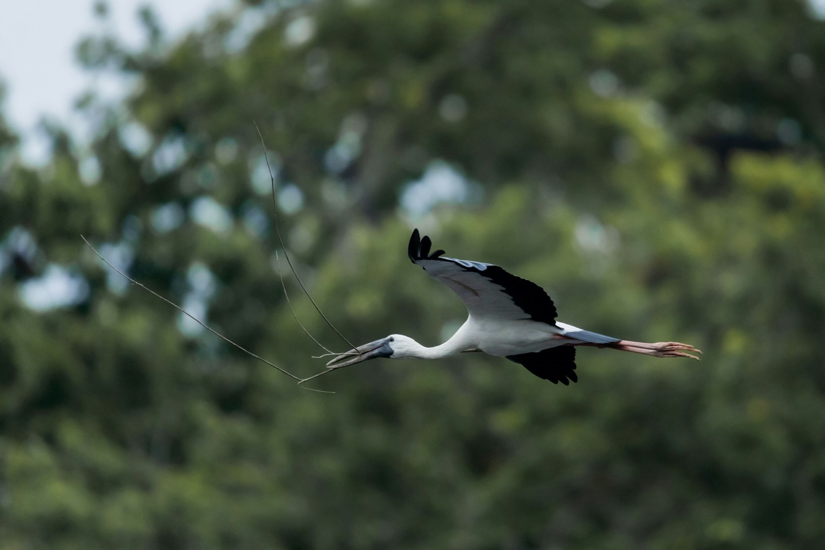  Photo Credit: Photo by Sushanta Rokka on Unsplash
