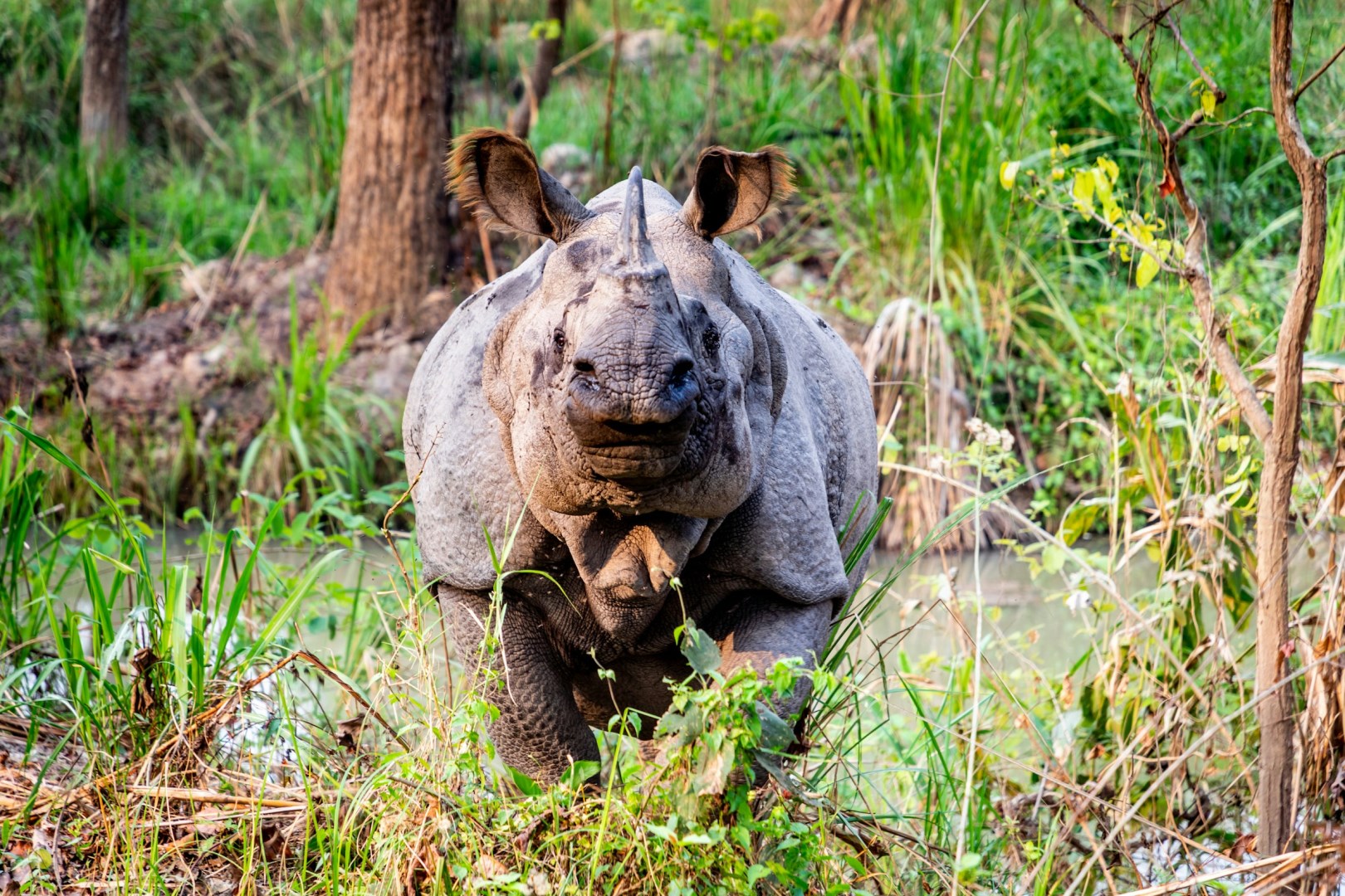  Photo Credit: Photo by Kedar Bhusal on Unsplash