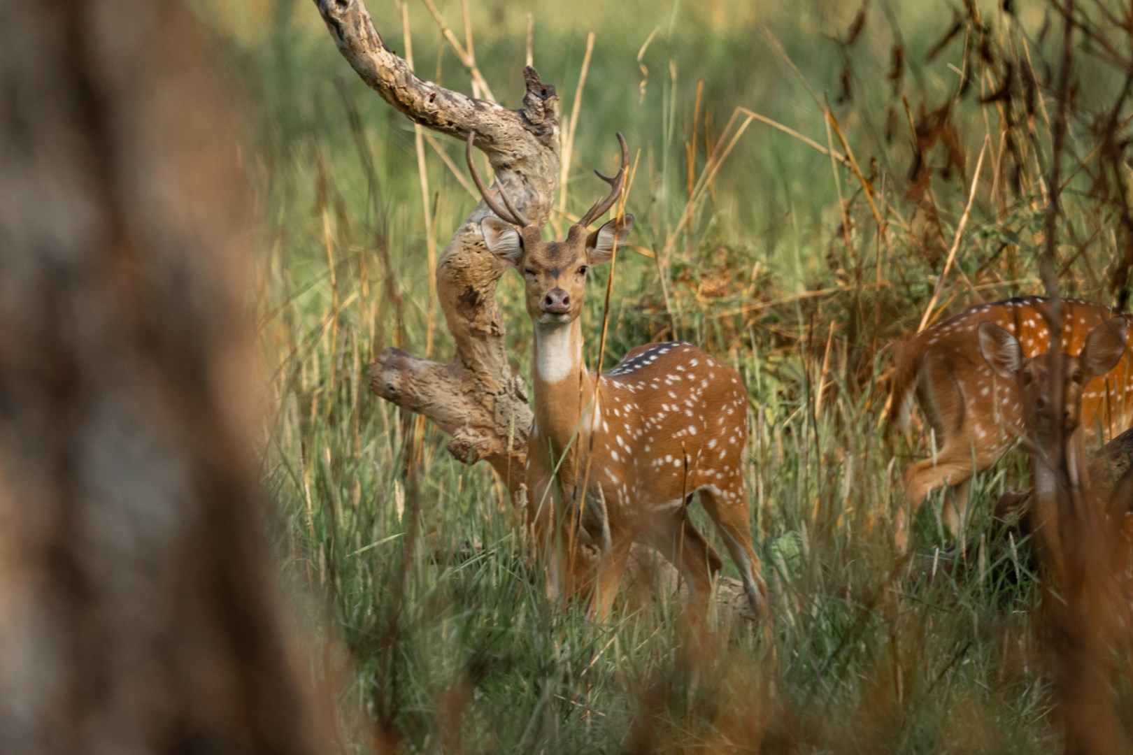  Photo Credit: Photo by Sushanta Rokka on Unsplash