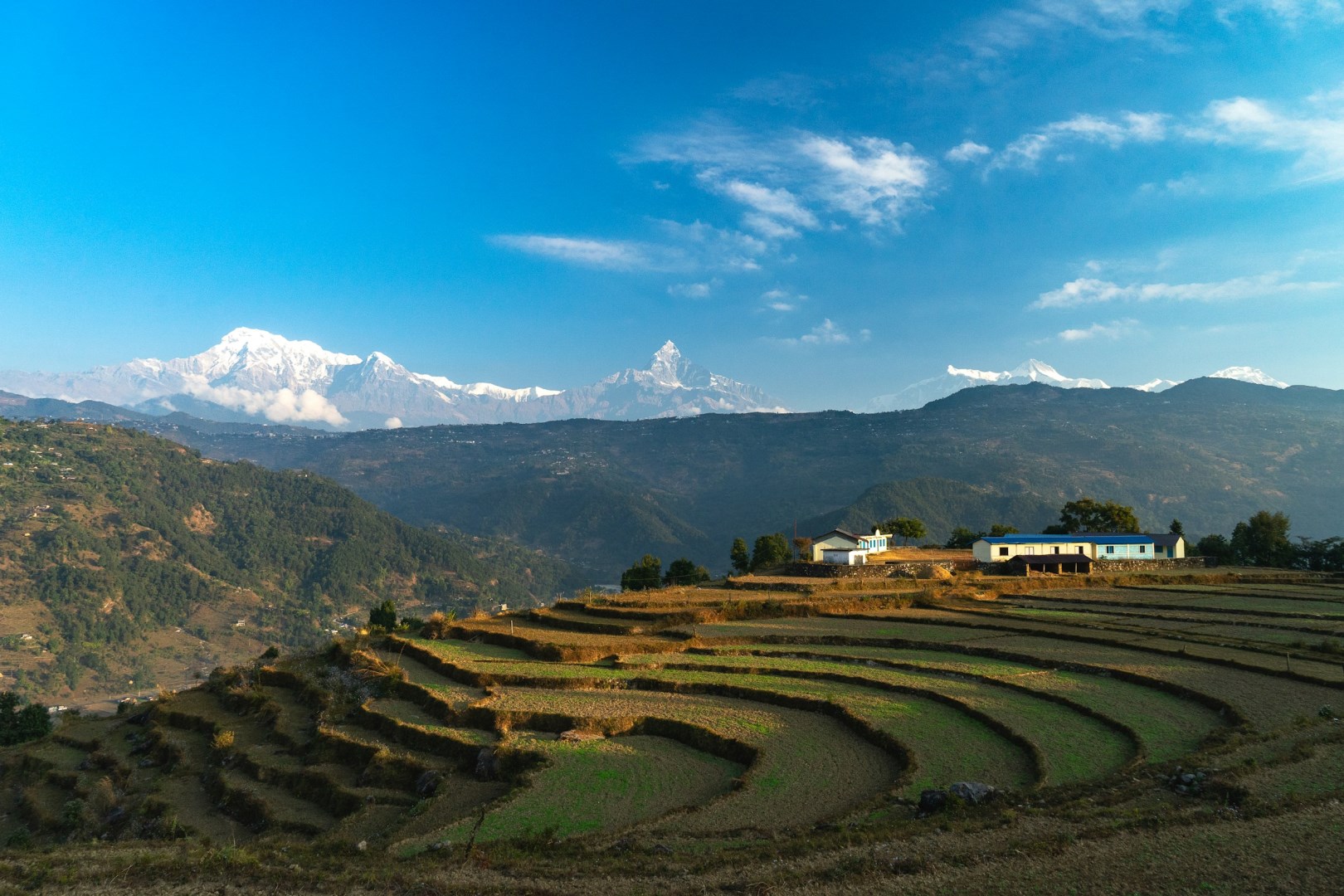  Photo Credit: Photo by Martin Skřivánek on Unsplash