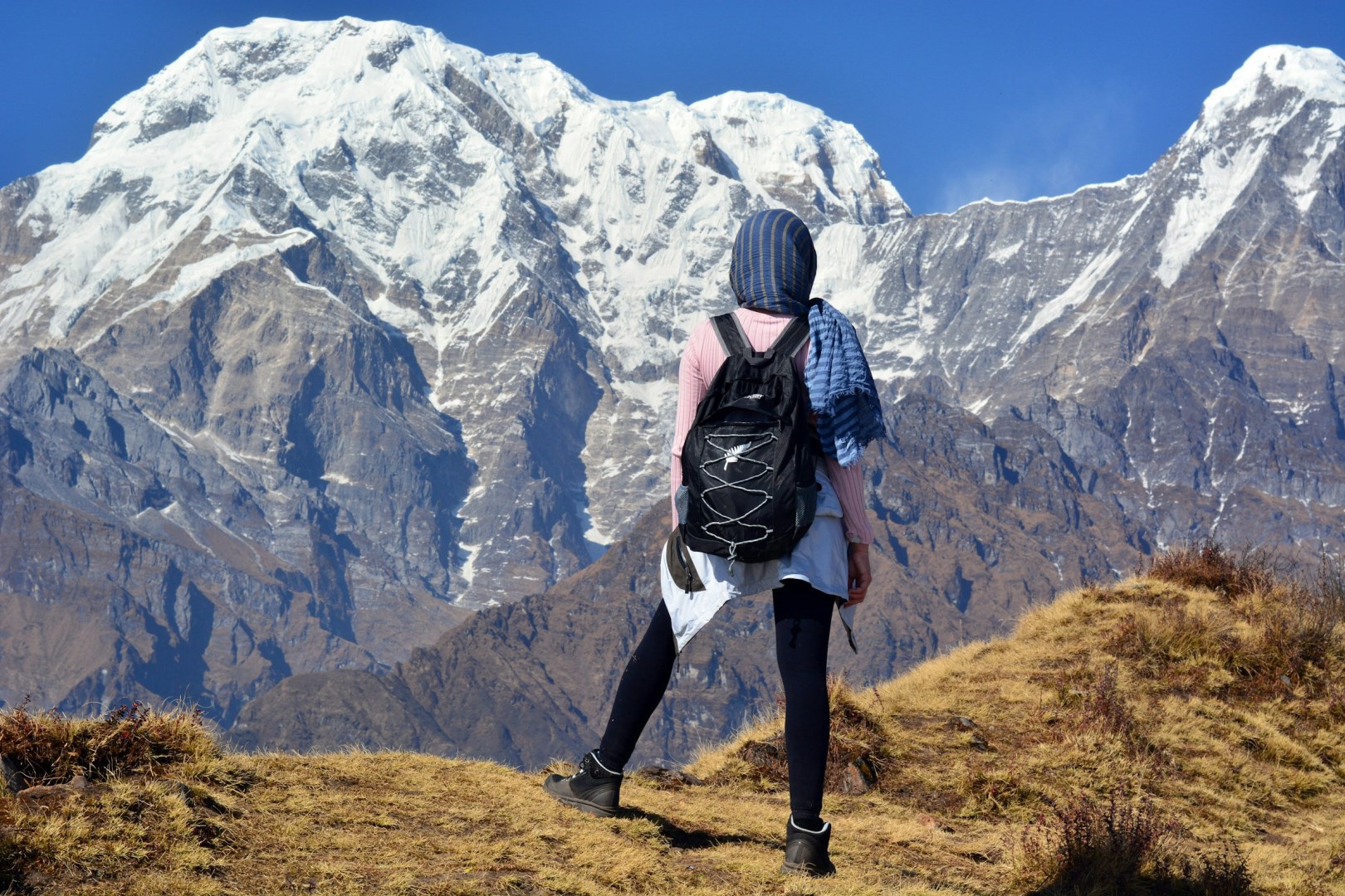  Photo Credit: Photo by Laurentiu Morariu on Unsplash
