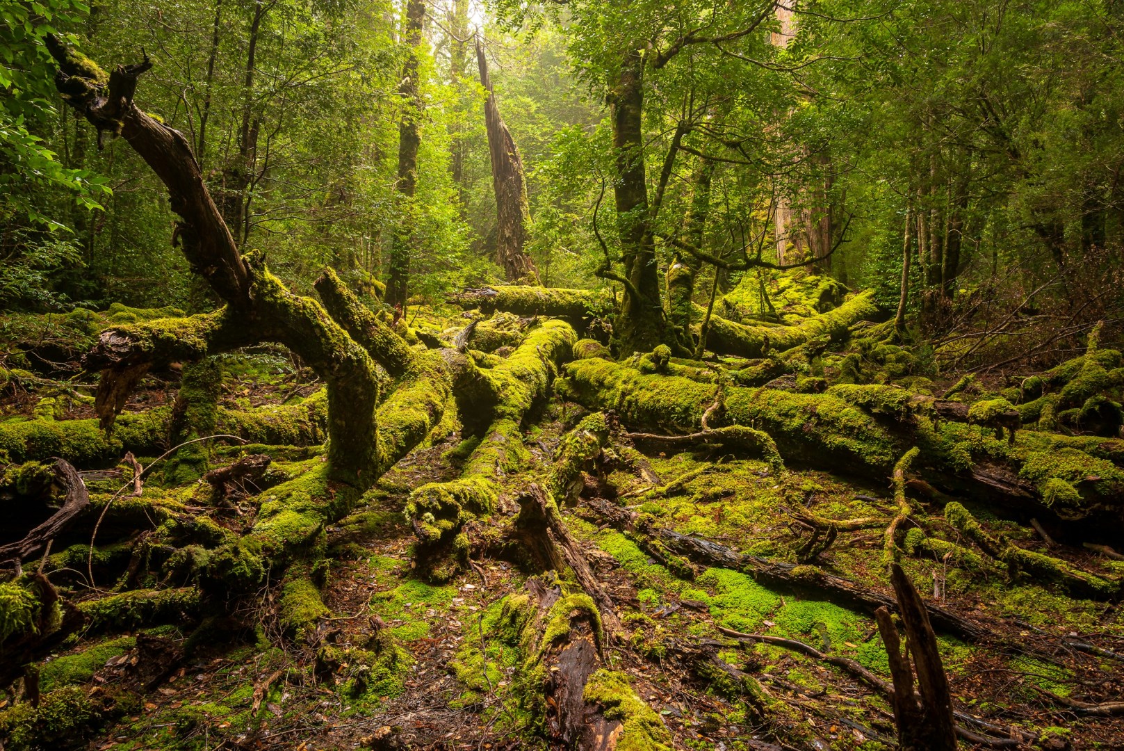  Photo Credit: Photo by Stephen Irwin on Unsplash