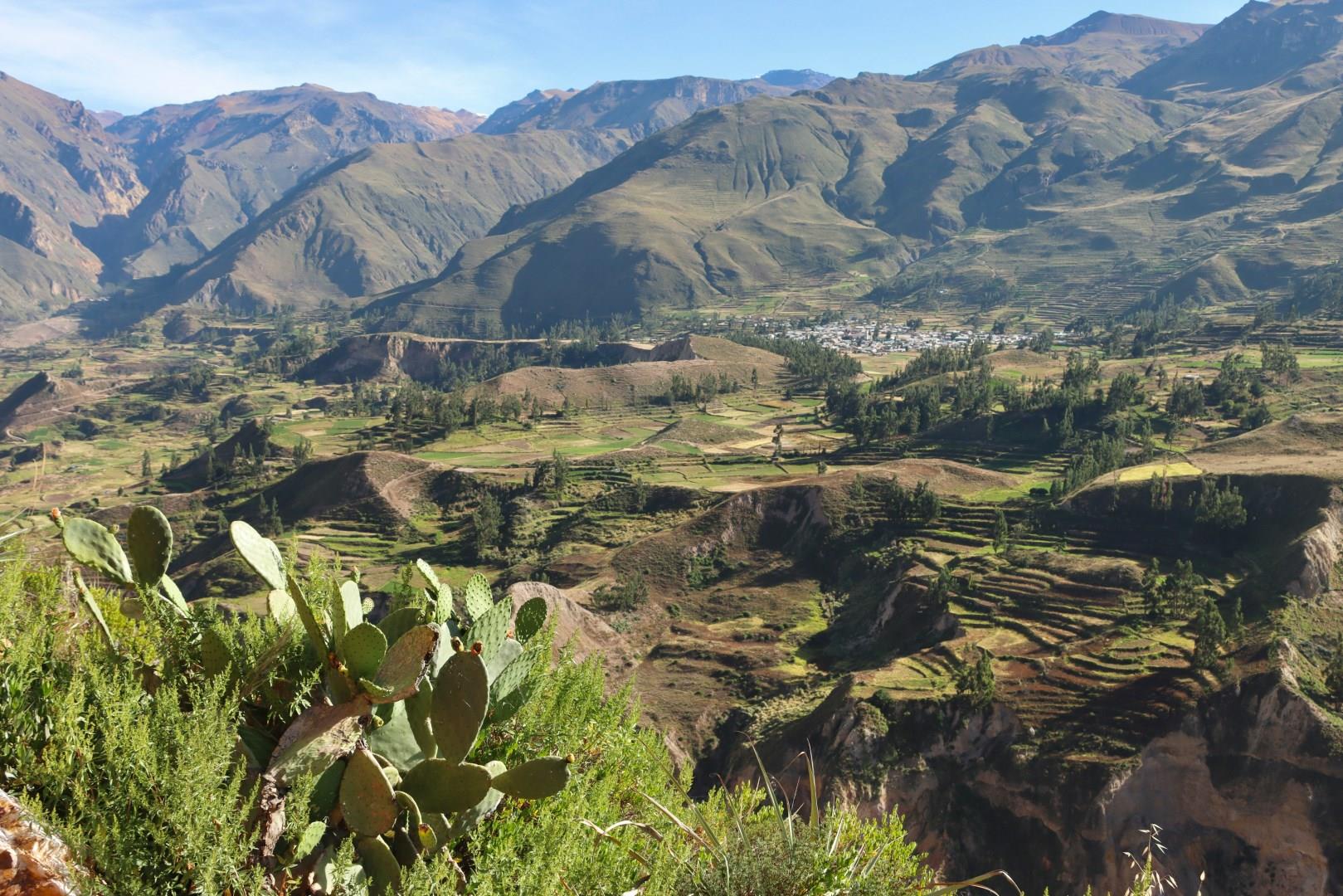 Colca Canyon