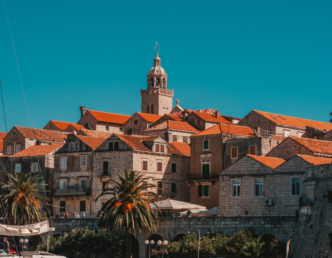  Photo Credit: Photo by Goran Ivos on Unsplash