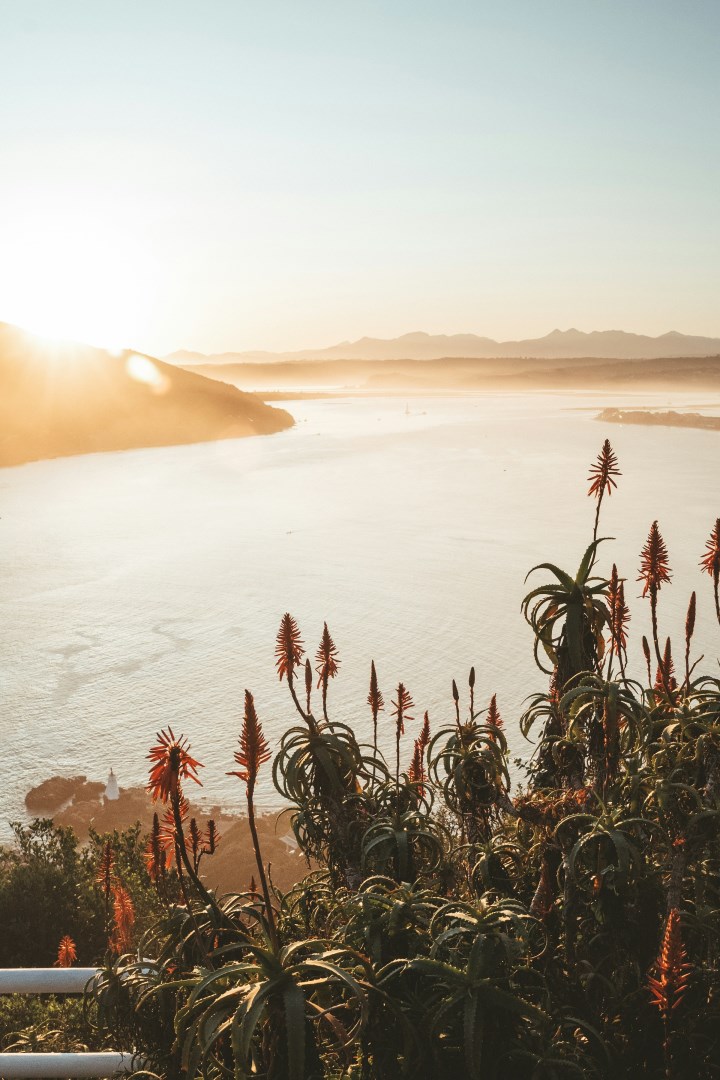 The Heads - Photo Credit: Photo by Wesley Eland on Unsplash
