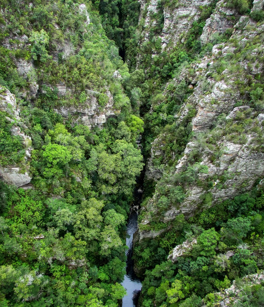 Knysna