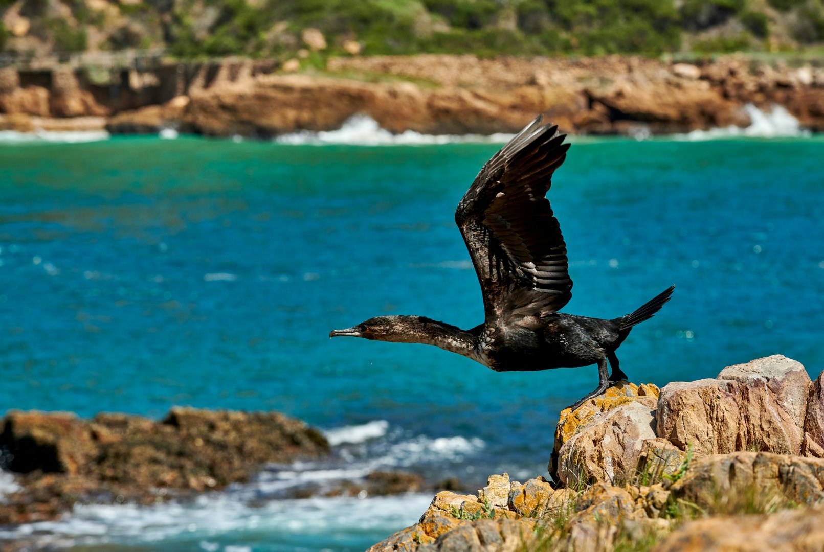 Photo Credit: Photo by Vern Minard on Unsplash